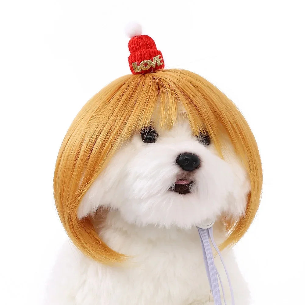 Premium Pet Food